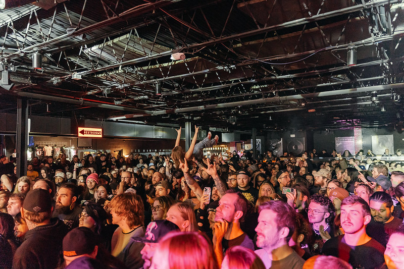 crowd9
