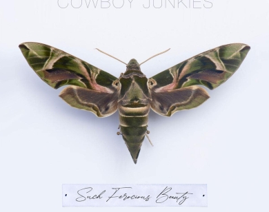 Cowboy Junkies Sublimely Deal With Loss on Such Ferocious Beauty